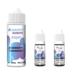 Hayati Pro Max 100ml + 2x10ml - Blueberry Rapsberry